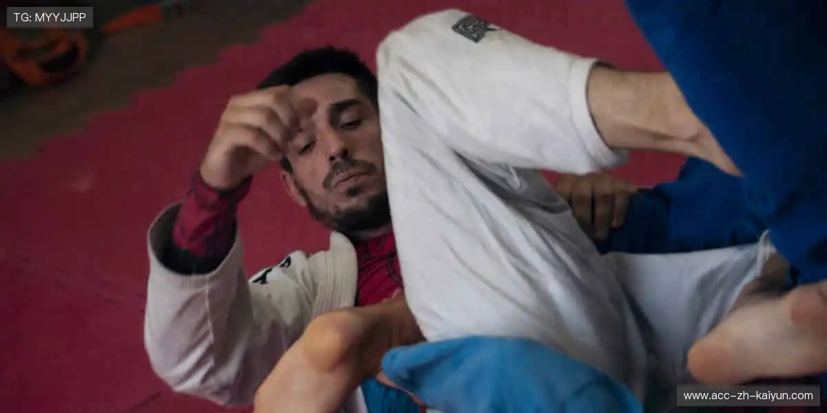 高清直播,锁定每一刻精彩!📺